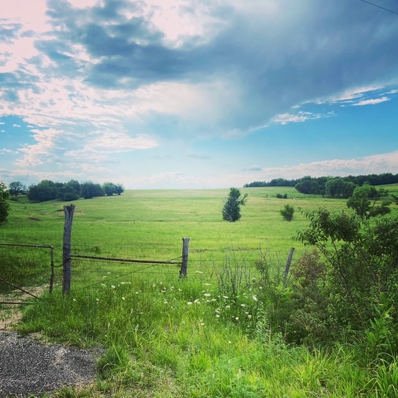 Meet your Posher, Sunny - Picture 2 of 7